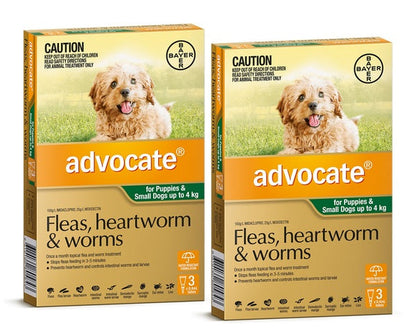 Advocate - For Dogs up to 4 kg (Small Dogs/Pups) Green