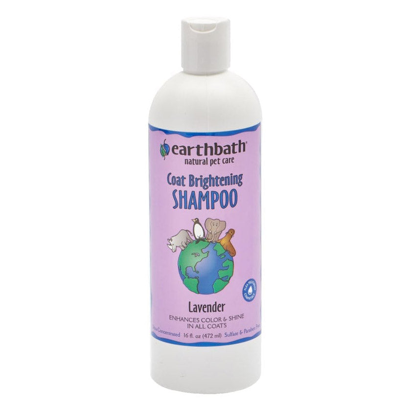 Earthbath Coat Brightening Shampoo