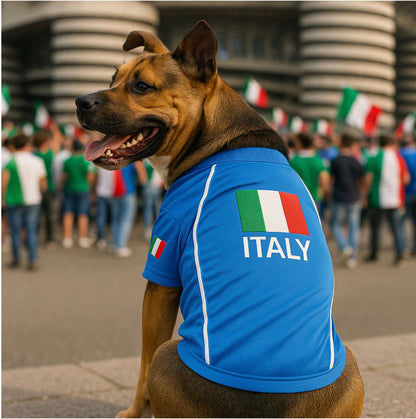 Embroidered Soccer Jerseys