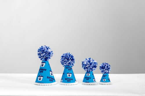 Pup Party Hats - Birthday Blue Boy  Ink Party Hat 