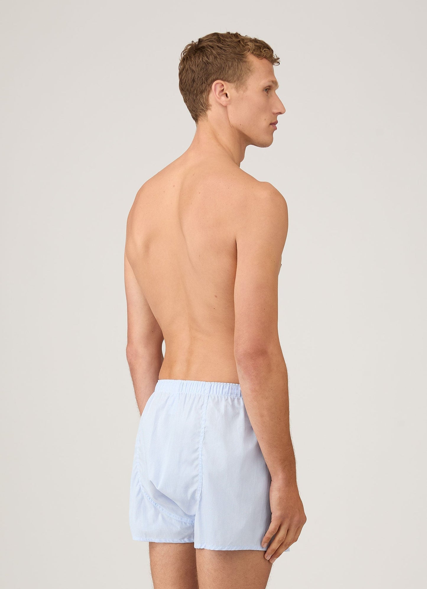 Mens Poplin Cotton Boxer Short In Light Blue Micro Gingham Mbox4700
