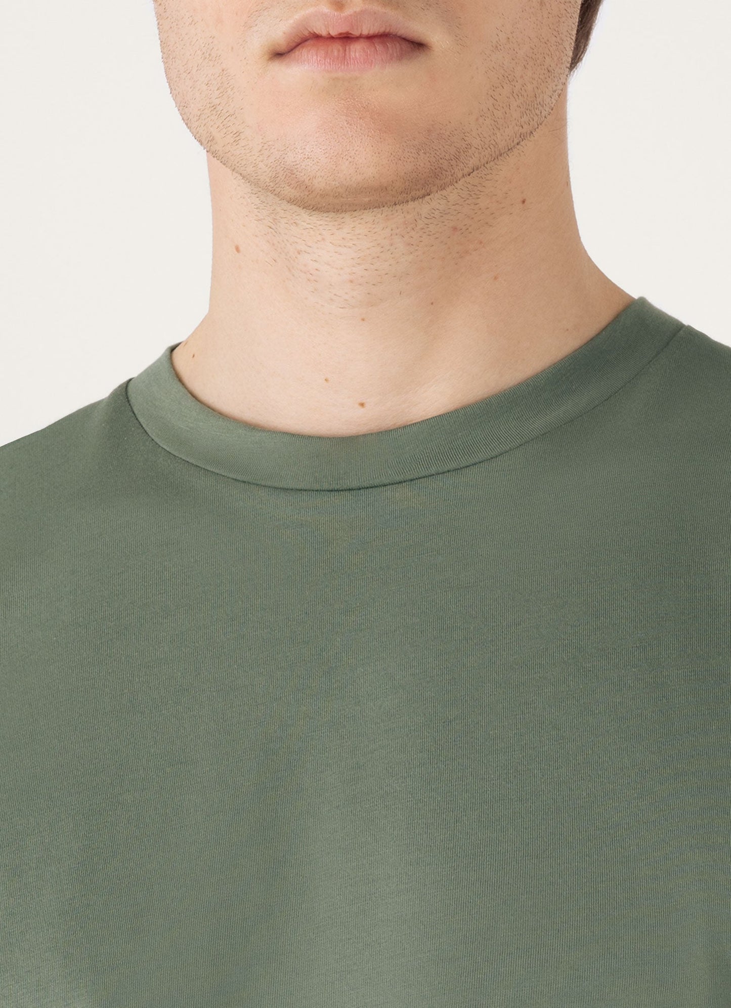 Mens Riviera Midweight Tshirt In Dusk Green Mtsh0007S Gnij