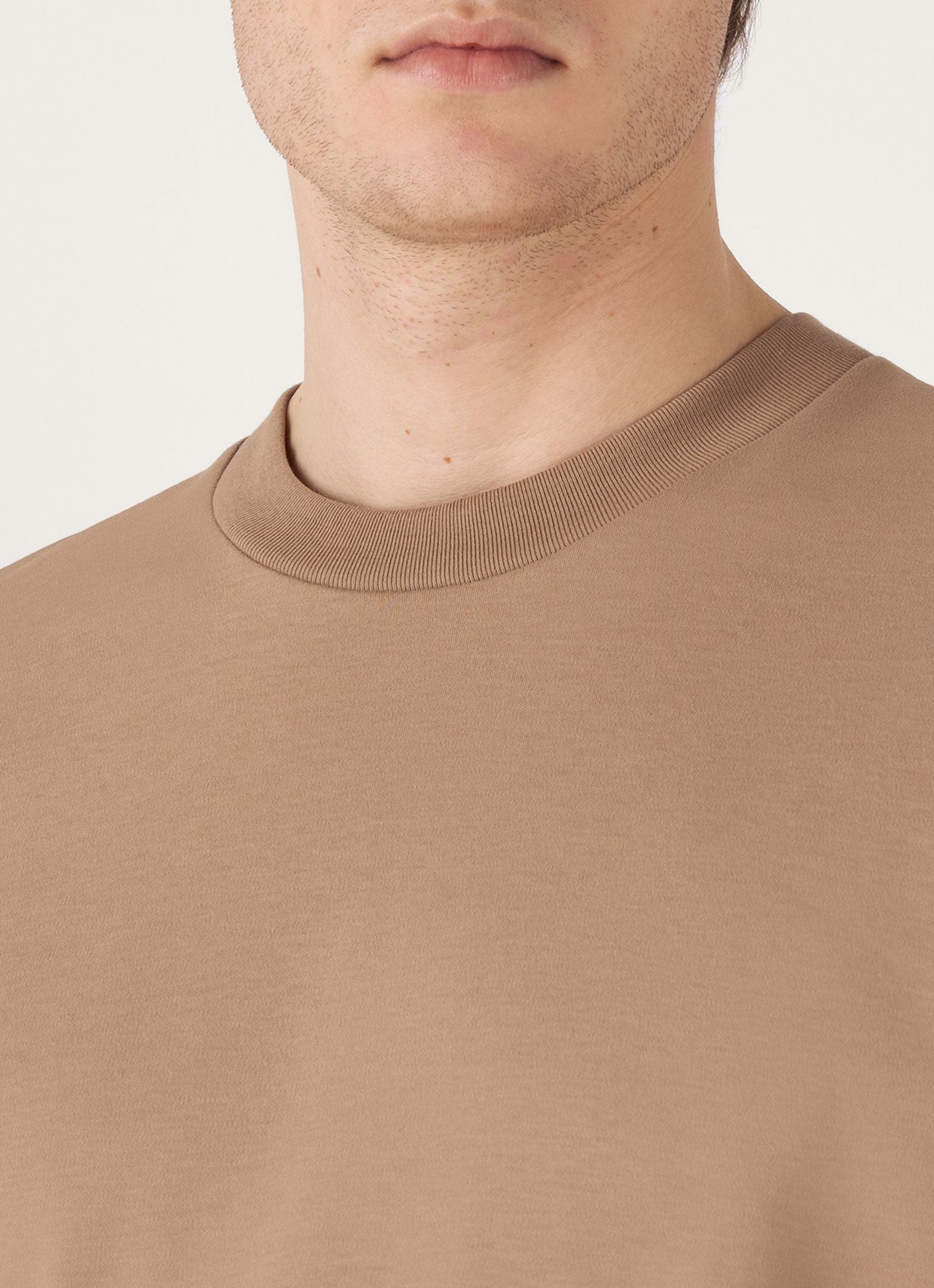 Mens Relaxed Fit Heavyweight Tshirt In Dune Mtsh0181 Brfz